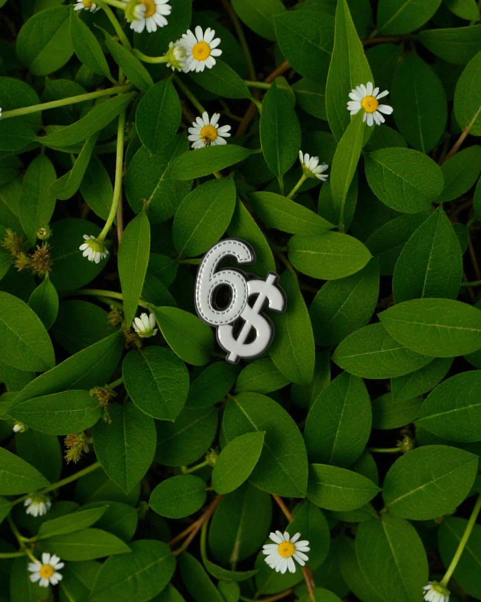 "6$" PINS First Edition