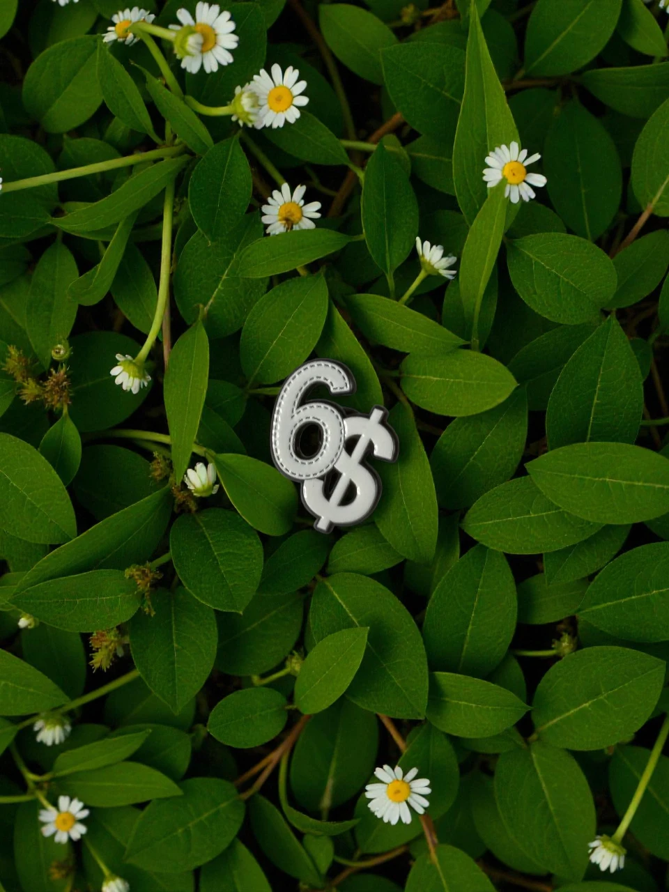 "6$" PINS First Edition